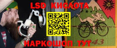 a pvp Дмитров