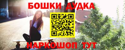 гидра Железногорск