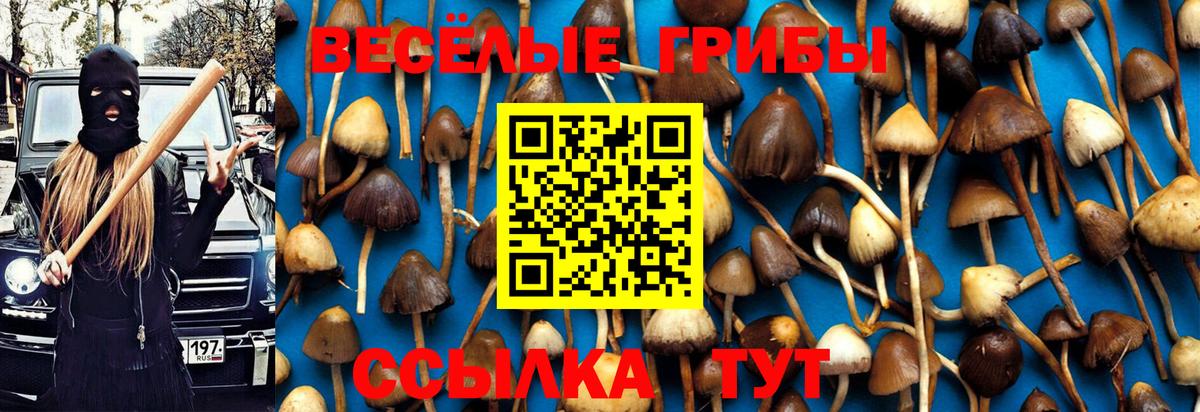 Псилоцибиновые грибы Psilocybine cubensis  Вход с VPN  Верхняя Салда 